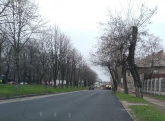 аношкіна