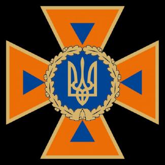 дснс