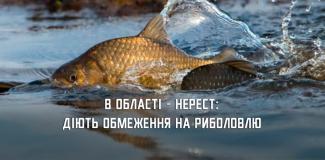 е