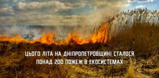 н