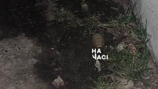 граната