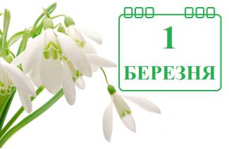 м