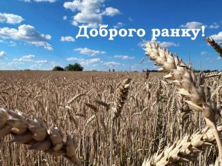 мер