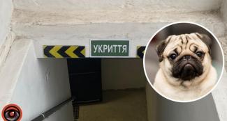 укриття