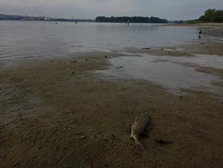 пляж