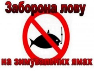 риба