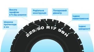 шина