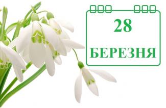 погода