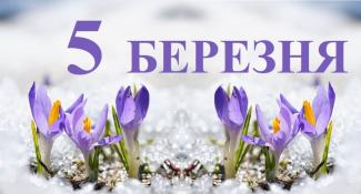 погода