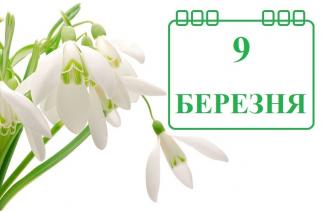 погода