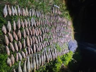 в