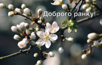 квіти