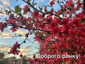 мер