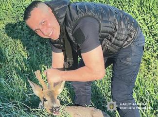 поліцейські