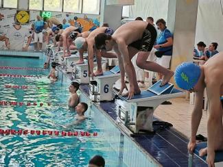  Swim Sharks
