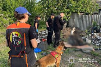 вбивство