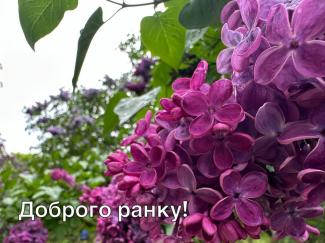 ситуація в місті