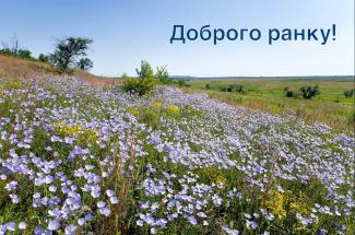мер