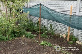 наркотики