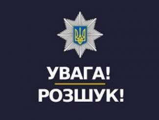 розшук, поліція