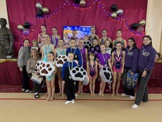 спортивна акробатика