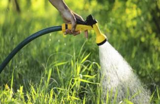 поливний сезон