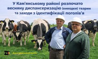 диспансеризація