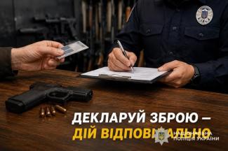 декларування зброї