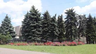 ситуація в місті