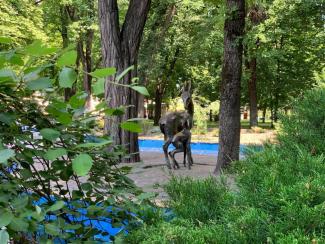 ситуація в місті