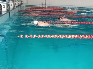 Swim Sharks