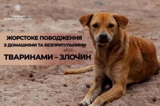 собака