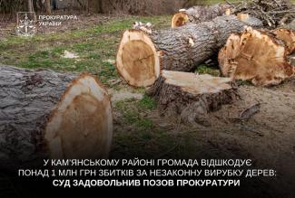 вирубка дерев