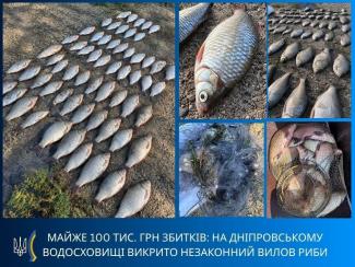 браконьер