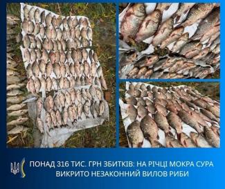 риба
