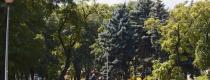город