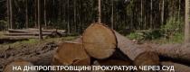 лісгосп