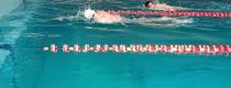 Swim Sharks