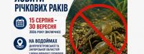раки